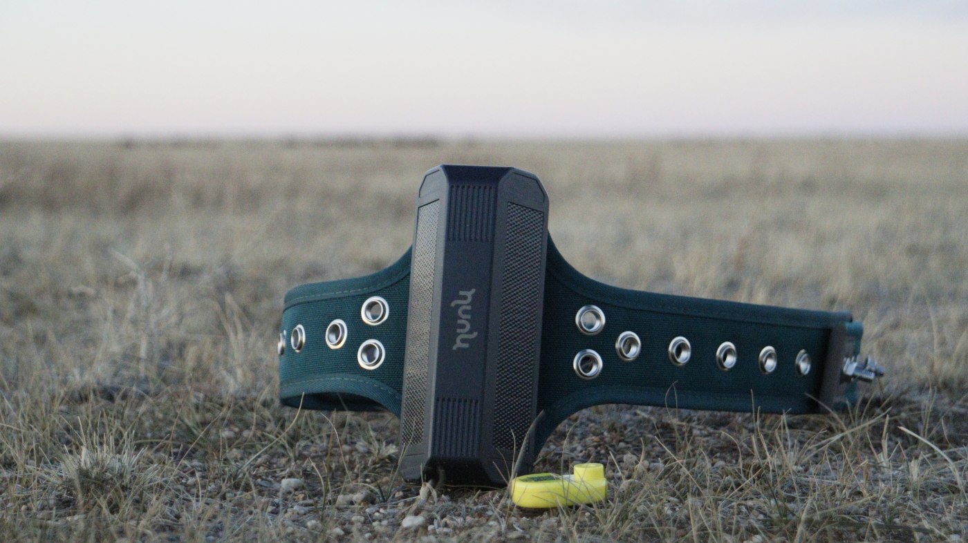 Hunu GPS tracker on its collar with a smart ear tag